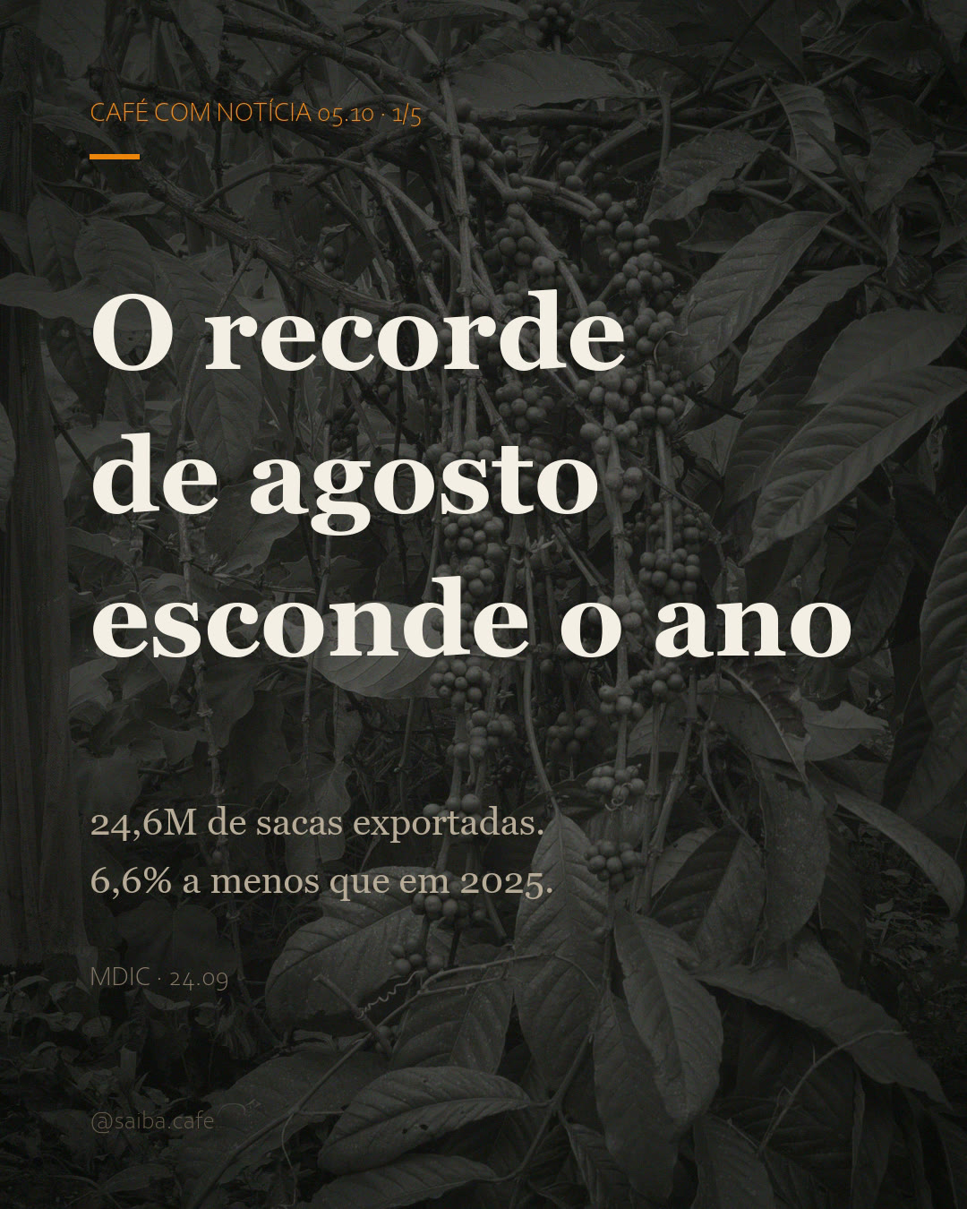 Capa do post: a frase 'O recorde de agosto esconde o ano' em tipografia grande sobre foto duotone de cerejas de café